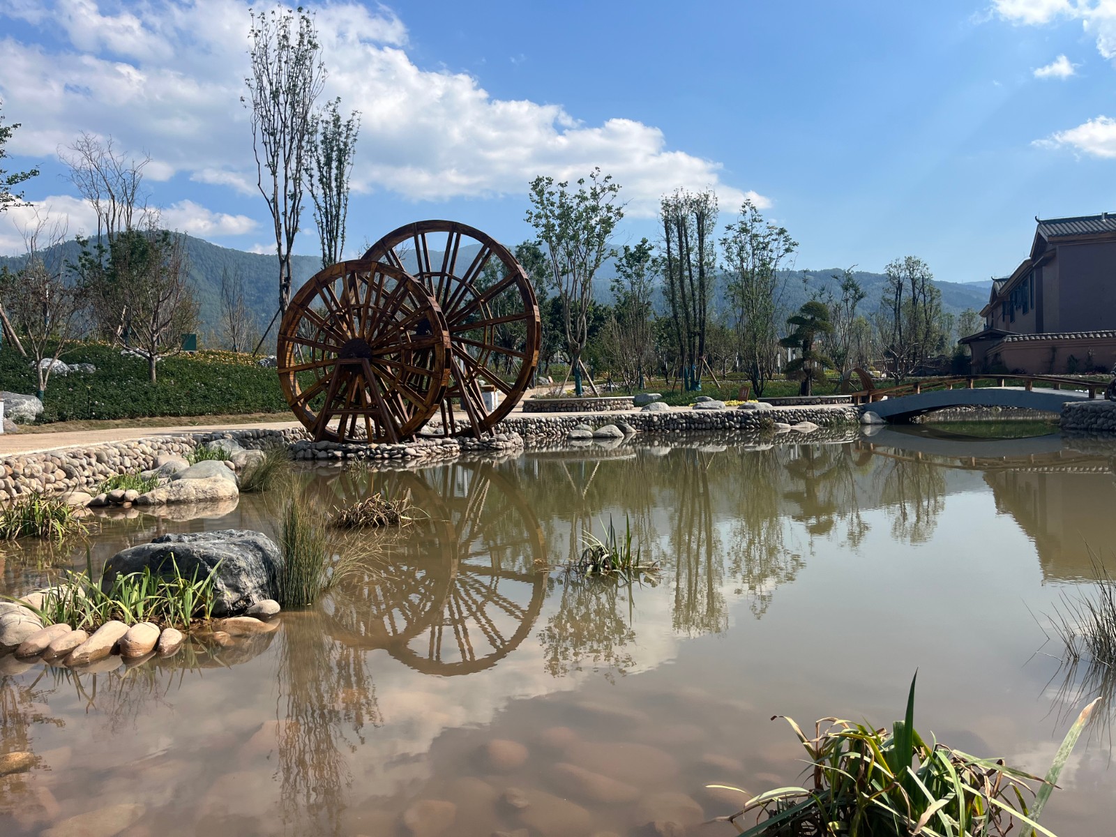 今年会jinnianhui园林绿化维护